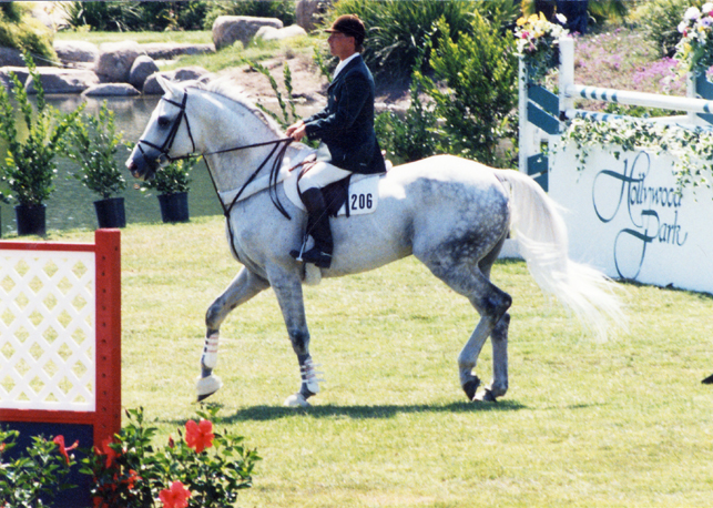 Click to return to Arthos